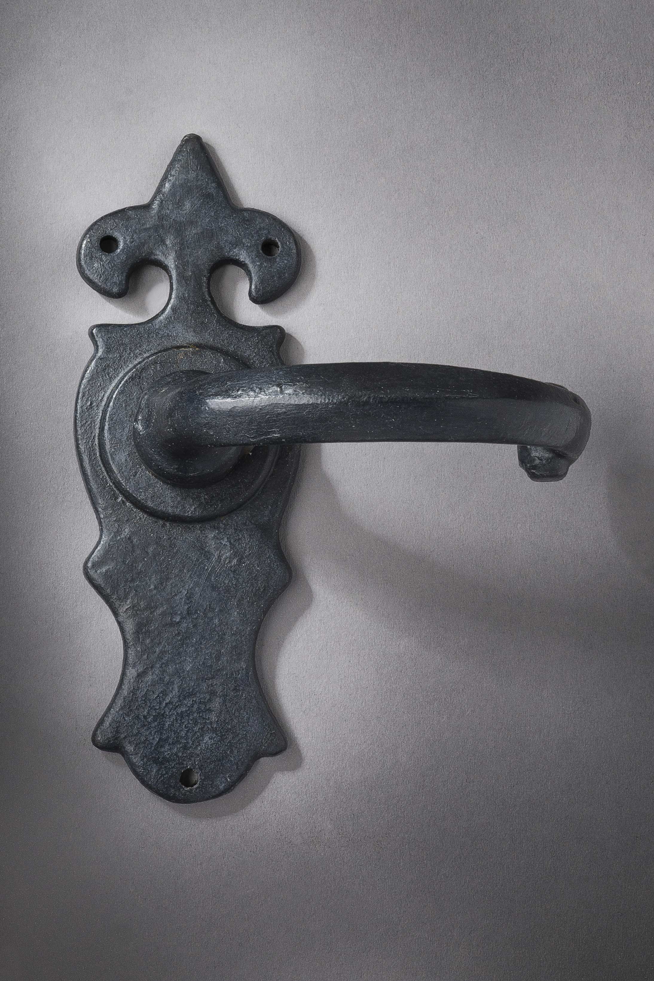 An image of Warwick Sprung Lever Handle