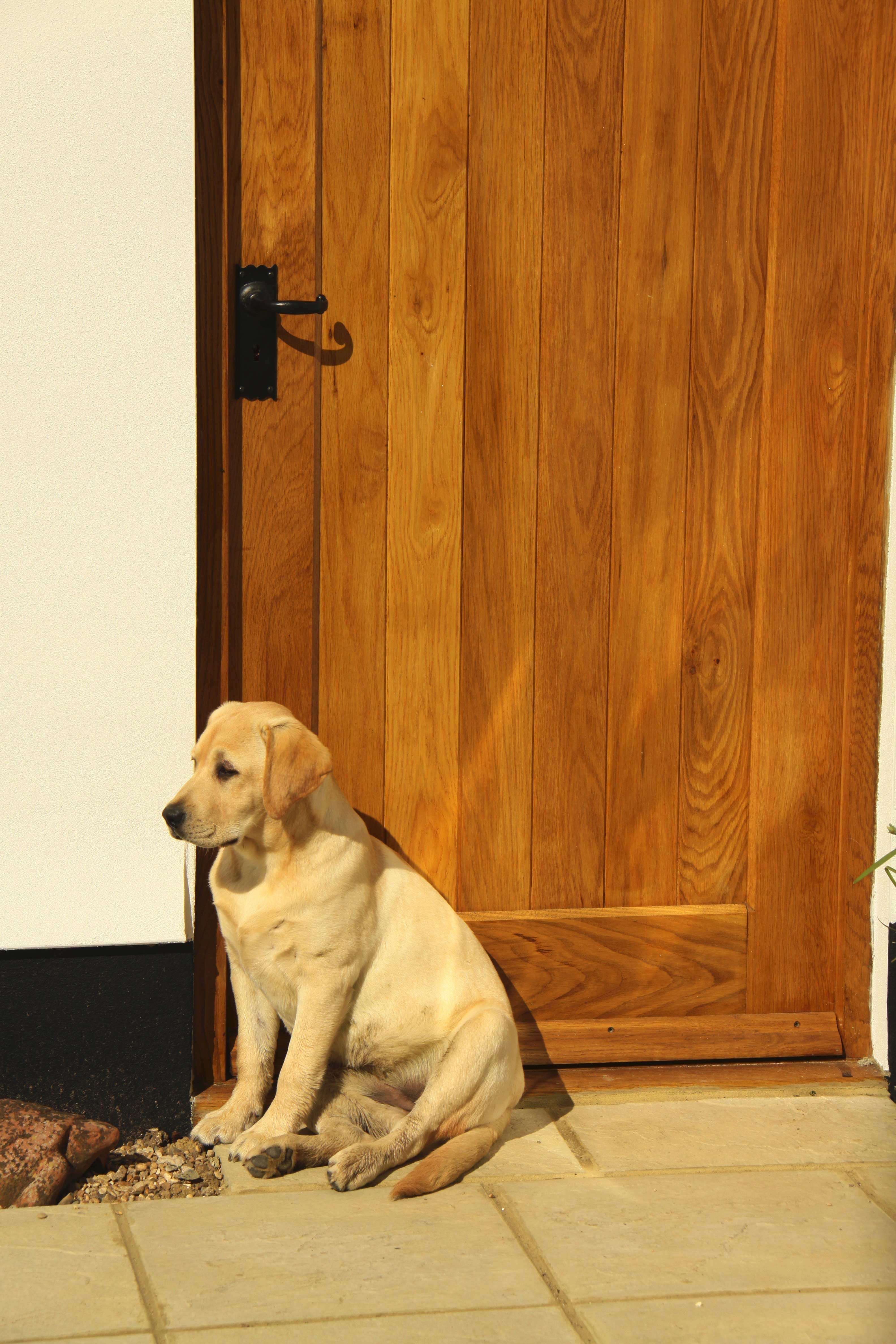 Cottage External Solid Oak Door